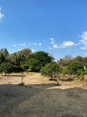 Valle dos ipês